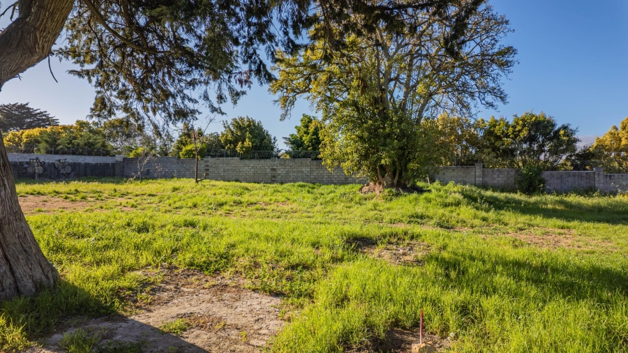 0 Bedroom Property for Sale in Belle Constantia Western Cape